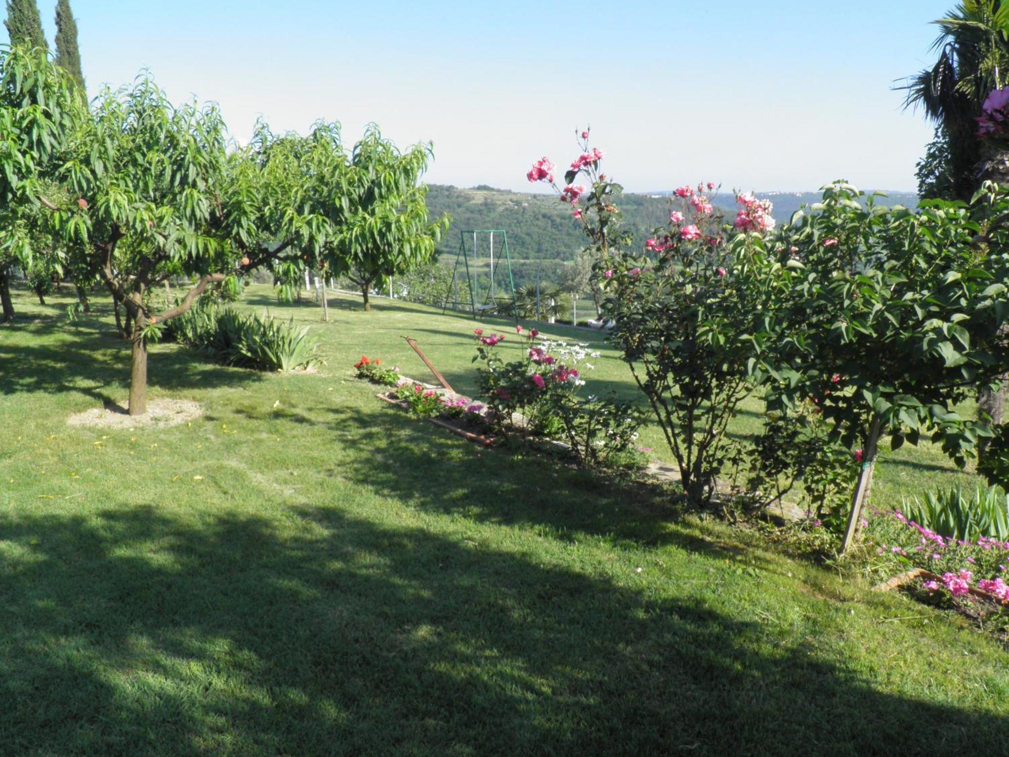 Appartement Cipresa *