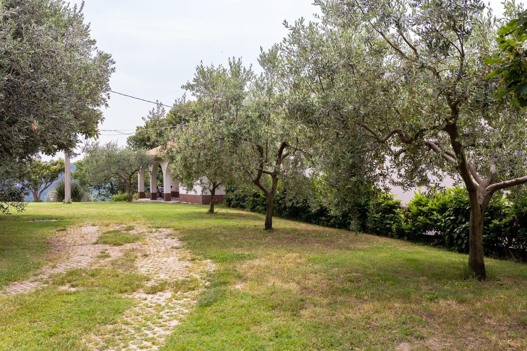 Apartment Cipresa