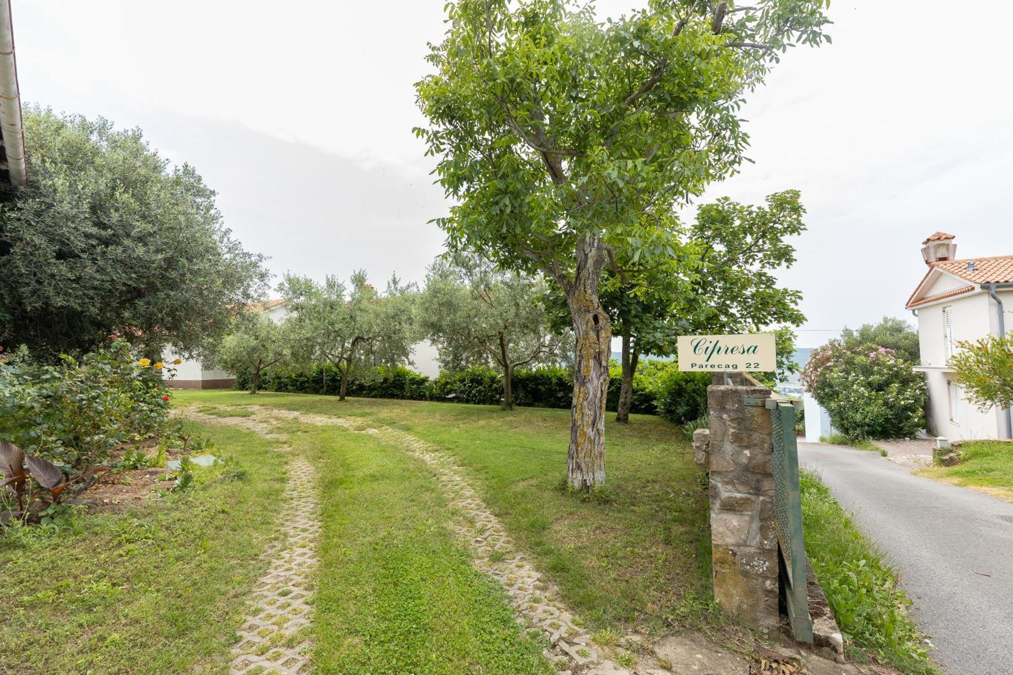 Cipresa *