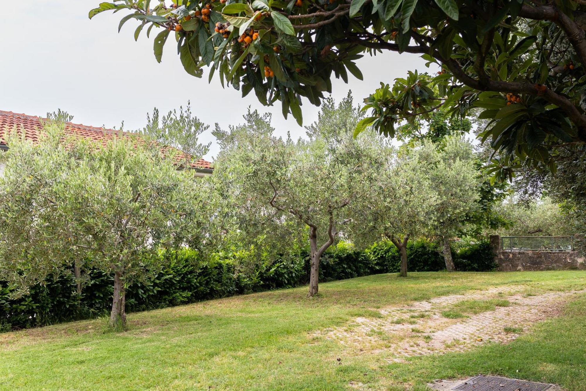 Apartment Cipresa