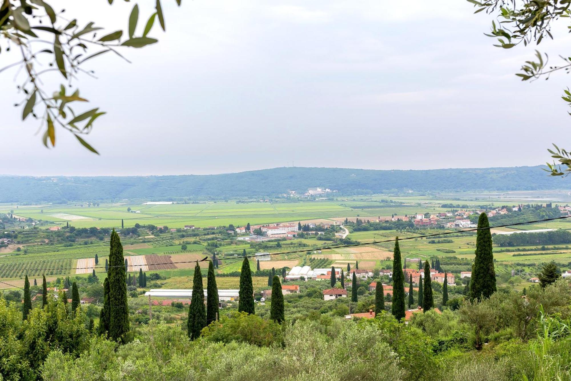 Appartement Cipresa *