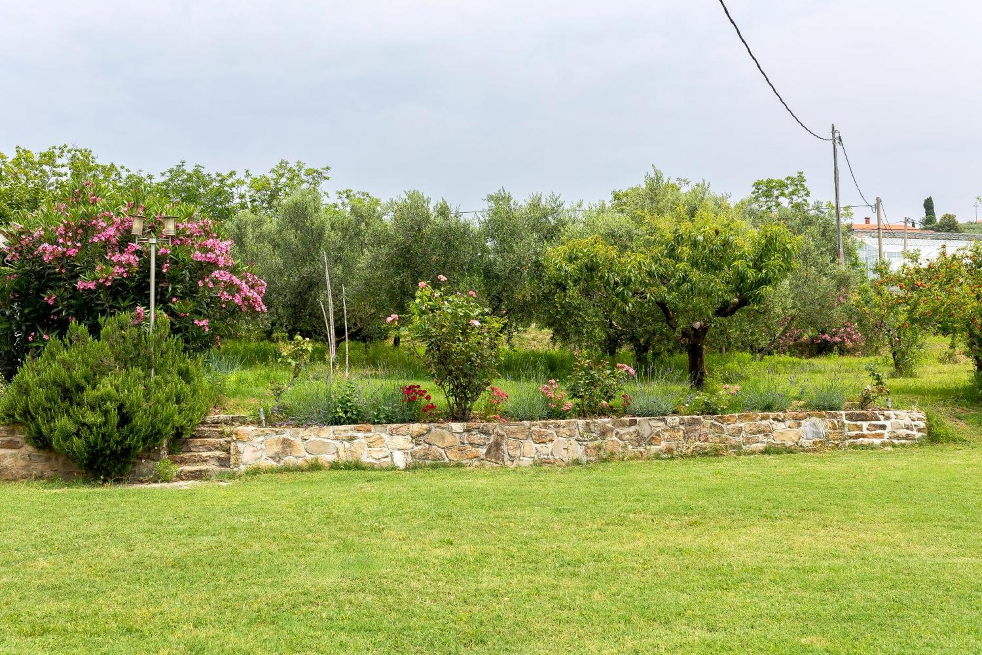 Cipresa Apartmán Portorož