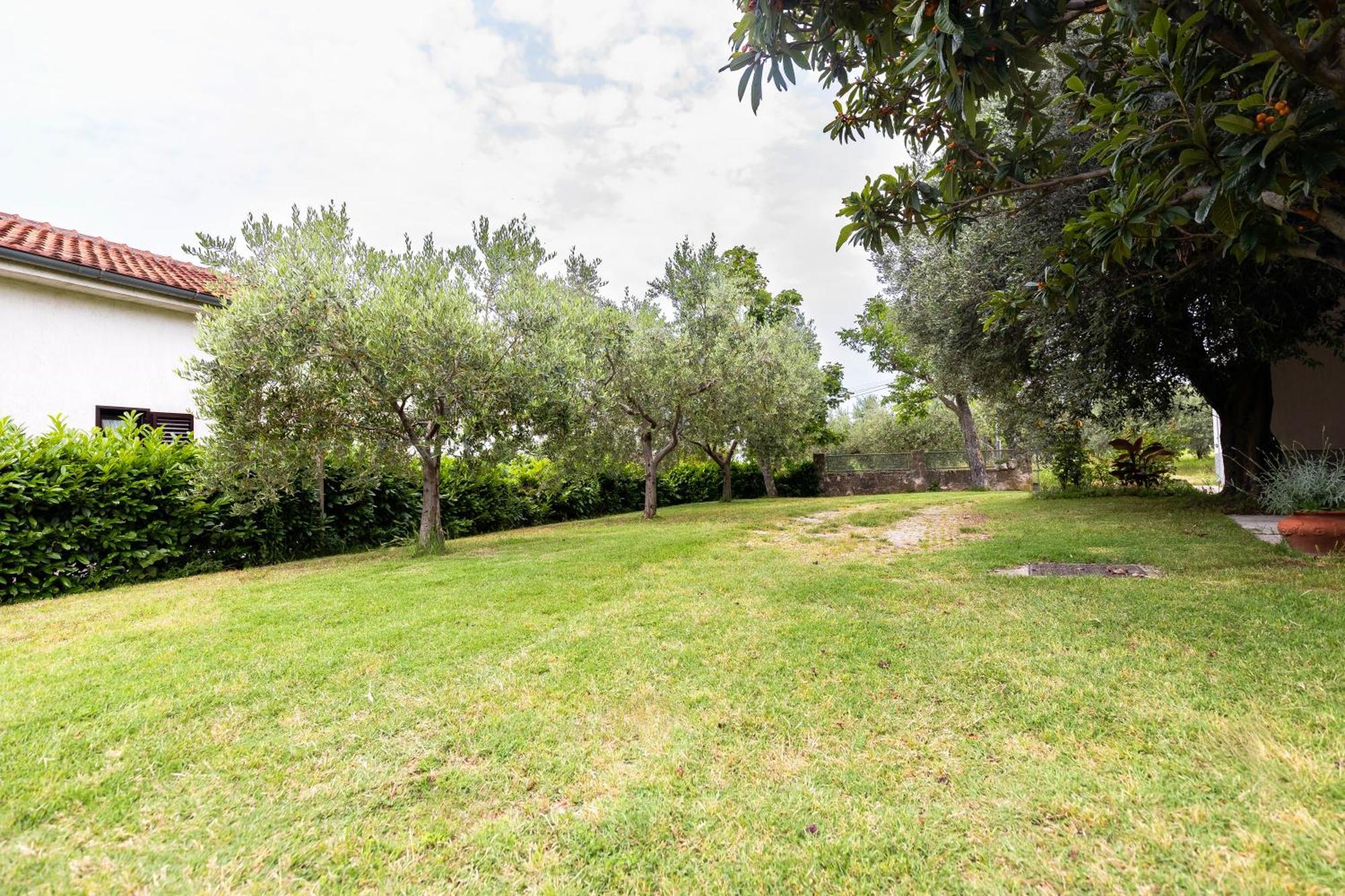 Cipresa Apartment